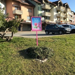Bossonnens (FR)
