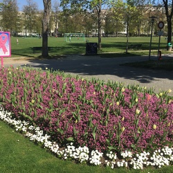 Floraison 2020