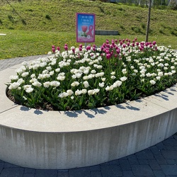 Füllinsdorf (BL)