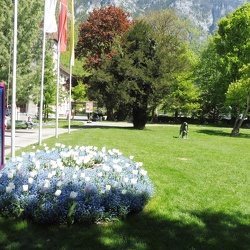 Glarus